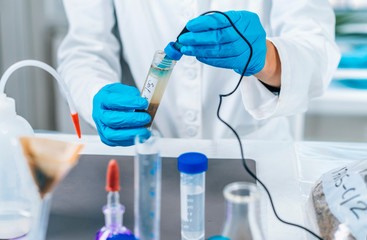 Fototapeta premium Soil Laboratory Analysis. Scientist Measuring PH Of Soil Sample