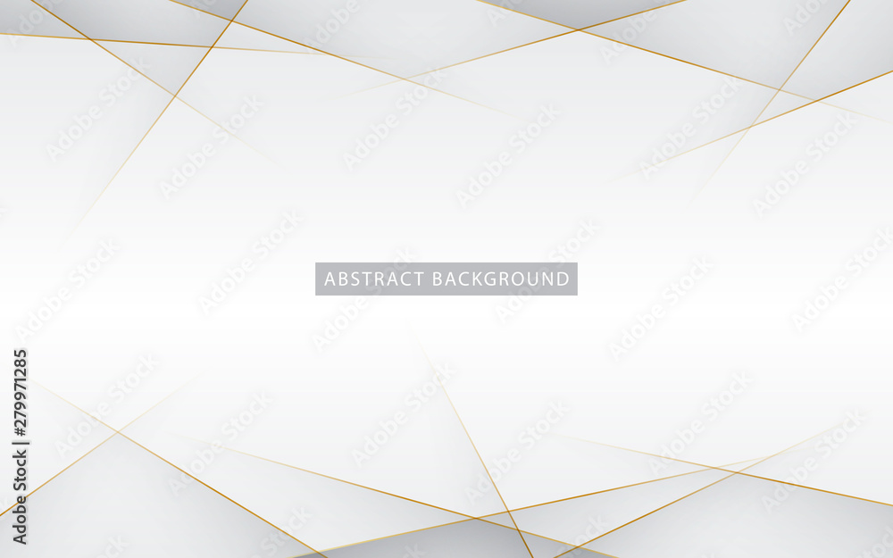 Poster modern abstract light silver background vector. elegant concept design with golden line.