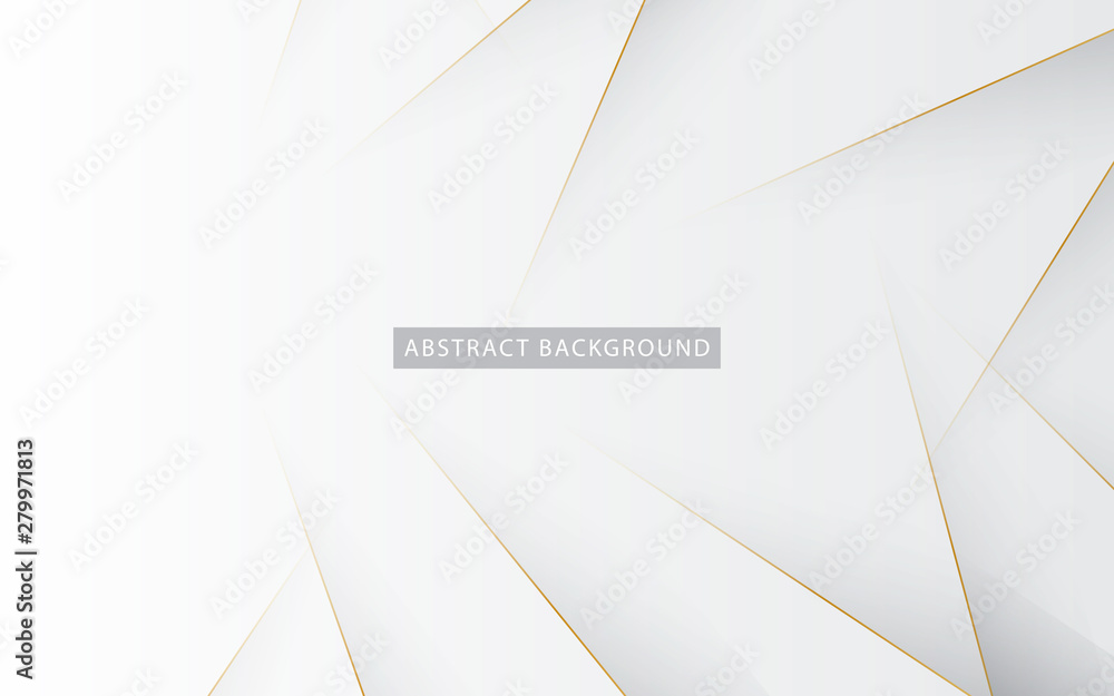 Poster modern abstract light silver background vector. elegant concept design with golden line.