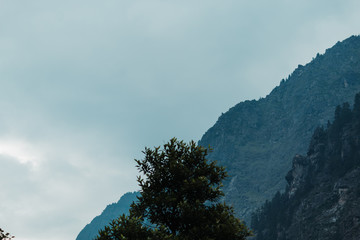 View of the tree in front of the mountains in Badrinath, Uttarakhand, India