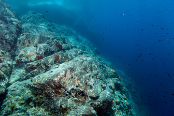 Fototapeta na wymiar Underwater Cliff Croatia