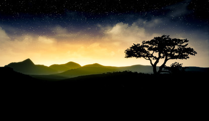 Silhouette of a tree on an African plain 