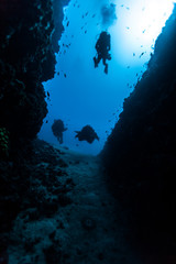 Fototapeta na wymiar Divers in a deep Canyon