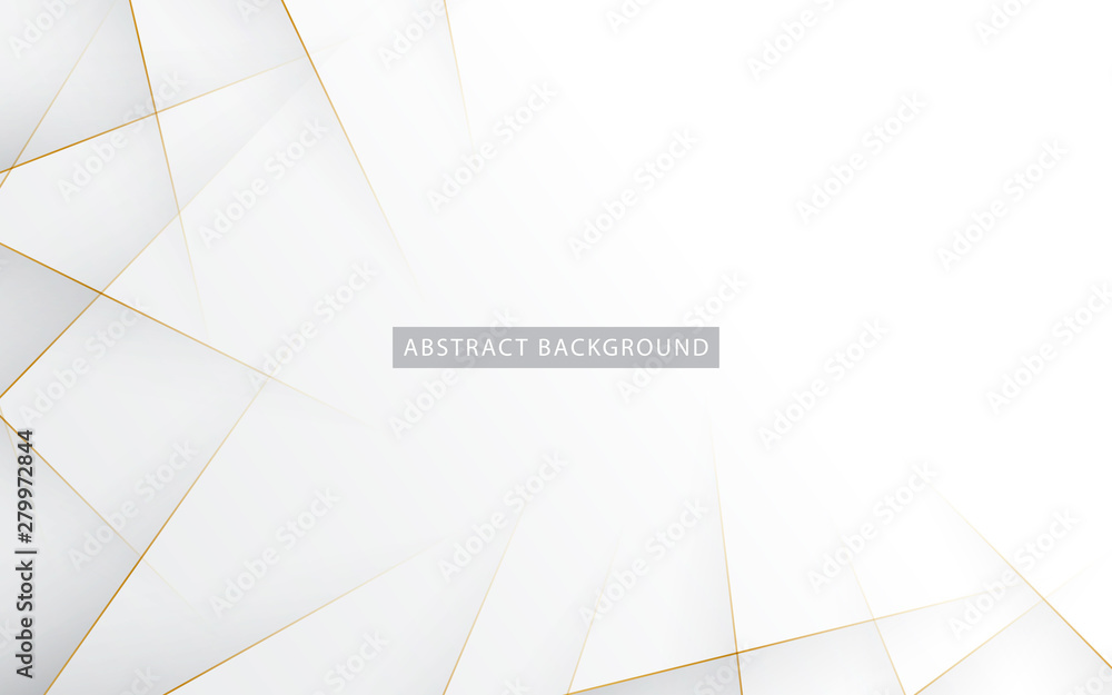 Poster modern abstract light silver background vector. elegant concept design with golden line.