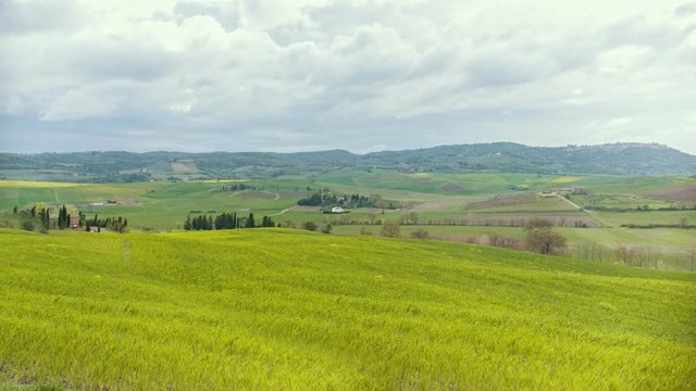 A bright green field in Toskana