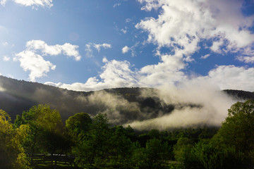 Clouds in the mountains. Green forest on the slope of mountain