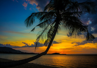 Beach Sunset