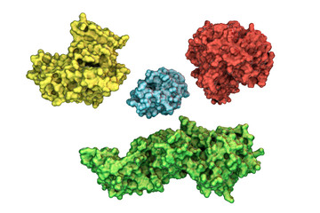 Molecules of different shapes and colors isolated on white background, 3D illustration