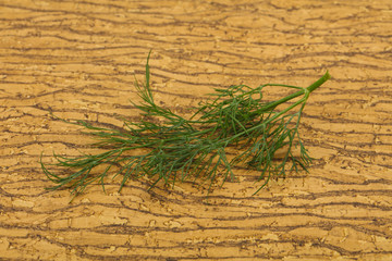 Fresh green dill herb branch