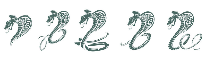 Set of Black King Cobra logo. Snake Tattoo. Indian cobra illustration, drawing. Vector illustration, aggressive and evil spectacled cobra or Naja naja. Vector graphics to design