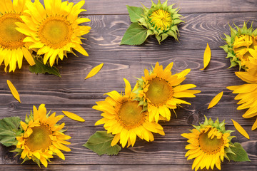 Beautiful sunflowers on wooden background
