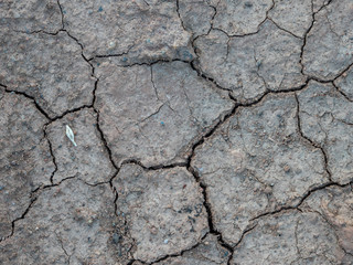 Trockenheit im Boden Klimawandel