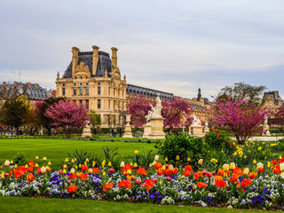 Obraz premium Marvelous spring Tuileries garden and view at the Louvre Palace in Paris France. April 2019