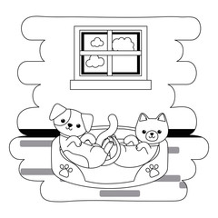 Cat and dog cartoon design