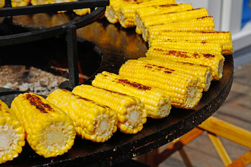 Delicious golden corns on large barbecue fire bowl