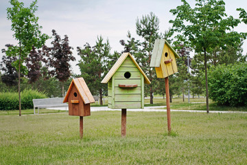 Brown, green and yellow birdhouses standing on green grass in park