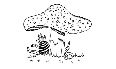 sketched wide mushroom illustration vector