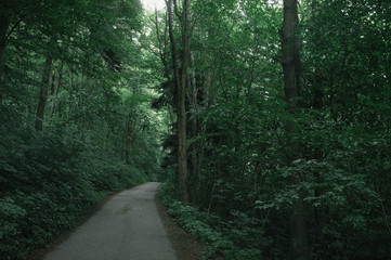 Quiet roads of Moravian Karst