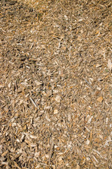 Vertical texture of woodchips. Small to medium sized pieces of wood formed by chipping trees, branches, logging residues, stumps and roots