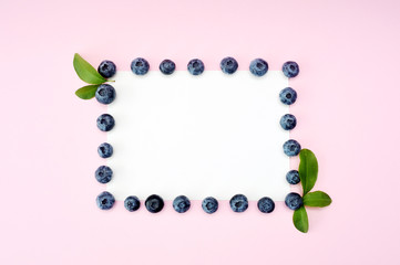 Summer blueberry round frame isolated on white background. Berries border design. Close up top view or flat lay with place for your text