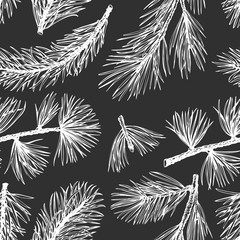 Pine needles vector hand drawn seamless pattern. Vintage style background. Botanical illustratiom on chalk board