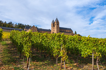 Fototapeta na wymiar Die Abtei St. Hildegard in den Weinbergen bei Rüdesheim/Deutschland im Herbst