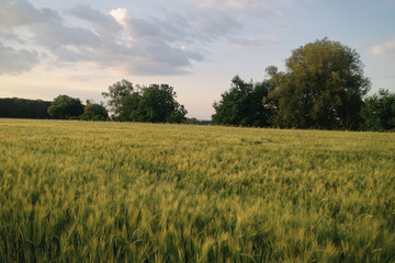 Short ride to Rajhrad monastery