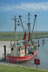in Süderhafen im Nordseeheilbad Nordstrand,Nordsee,Nordfriesland,Schleswig-Holstein,Deutschland
