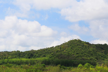 Fototapeta na wymiar Mountains with green trees.
