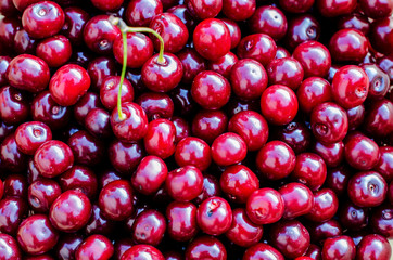 cherry berry background