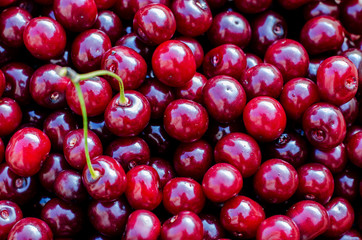cherry berry background