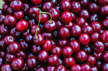 cherry berry background
