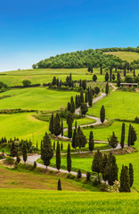 Winding road in the fields of Tuscany. Italy