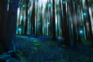 Magic surreal forest landscape, dark gloomy fairytale forest with fireflies and lights, mysterious moody dreamy forest