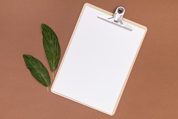 Empty clipboard mock-up with walnut leaves