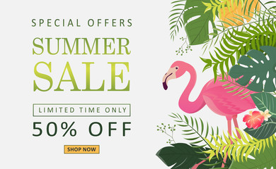 Flamingo bird illustrations for summer price sale