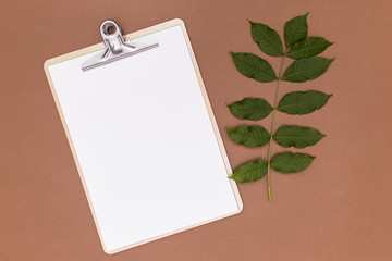 Empty clipboard with twig leaves