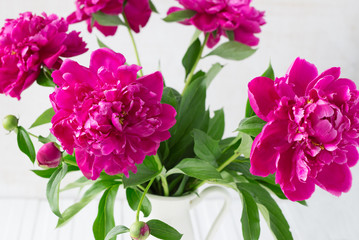 Purple garden peonies in a white enamel jug on a white wooden background, rustic style, close up