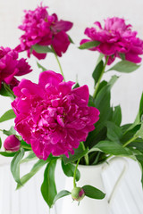 Purple garden peonies in a white enamel jug on a white wooden background, rustic style, close up