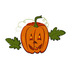 Stylized pumpkin with leaves. Happy Halloween. Pumpkin lantern Jack. Isolated image for your design on a white background.
