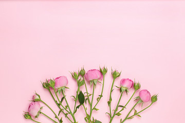 Flowers composition. Pink rose flowers. Flat lay, copy space