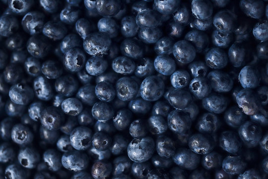 Fresh Blueberries background texture