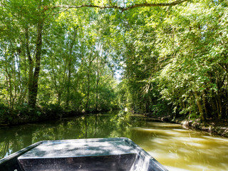 Marais poitevin autour de Saint-Hilaire-la-Palud. En barque le long du canal de Forges. Paysage...