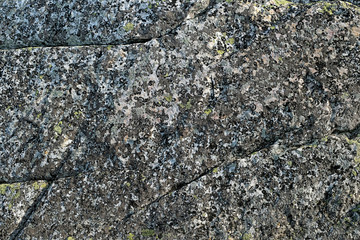 texture of mottled gray granite stone close up. old stone surface abstract natural background. mineral with rough structure. mountain backdrop. stones template on south Ural Mountains.