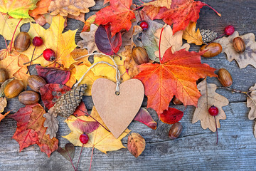 Autumn Background with heart blank greeting card and colourful leaves over wooden board....