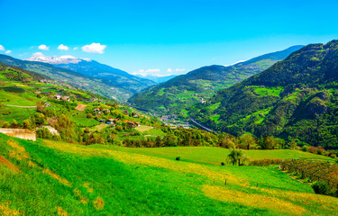 Fototapeta na wymiar Sunny spring landscape of Dolomite Alps, Italy. Green meadows with dandelions.