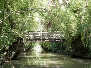 Marais poitevin. Passerelle au dessus d'un canal