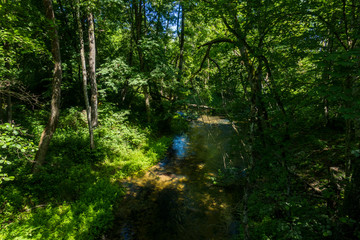Rzeka rzeczka strumień potok las w lesie bory zielono wakacje - obrazy, fototapety, plakaty