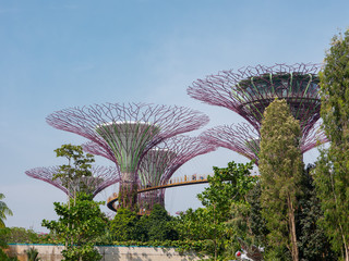 Fototapeta premium Gardens by the Bay Skyway, Singapore