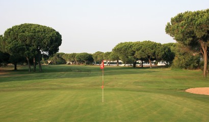 Fototapeta premium golf course with trees